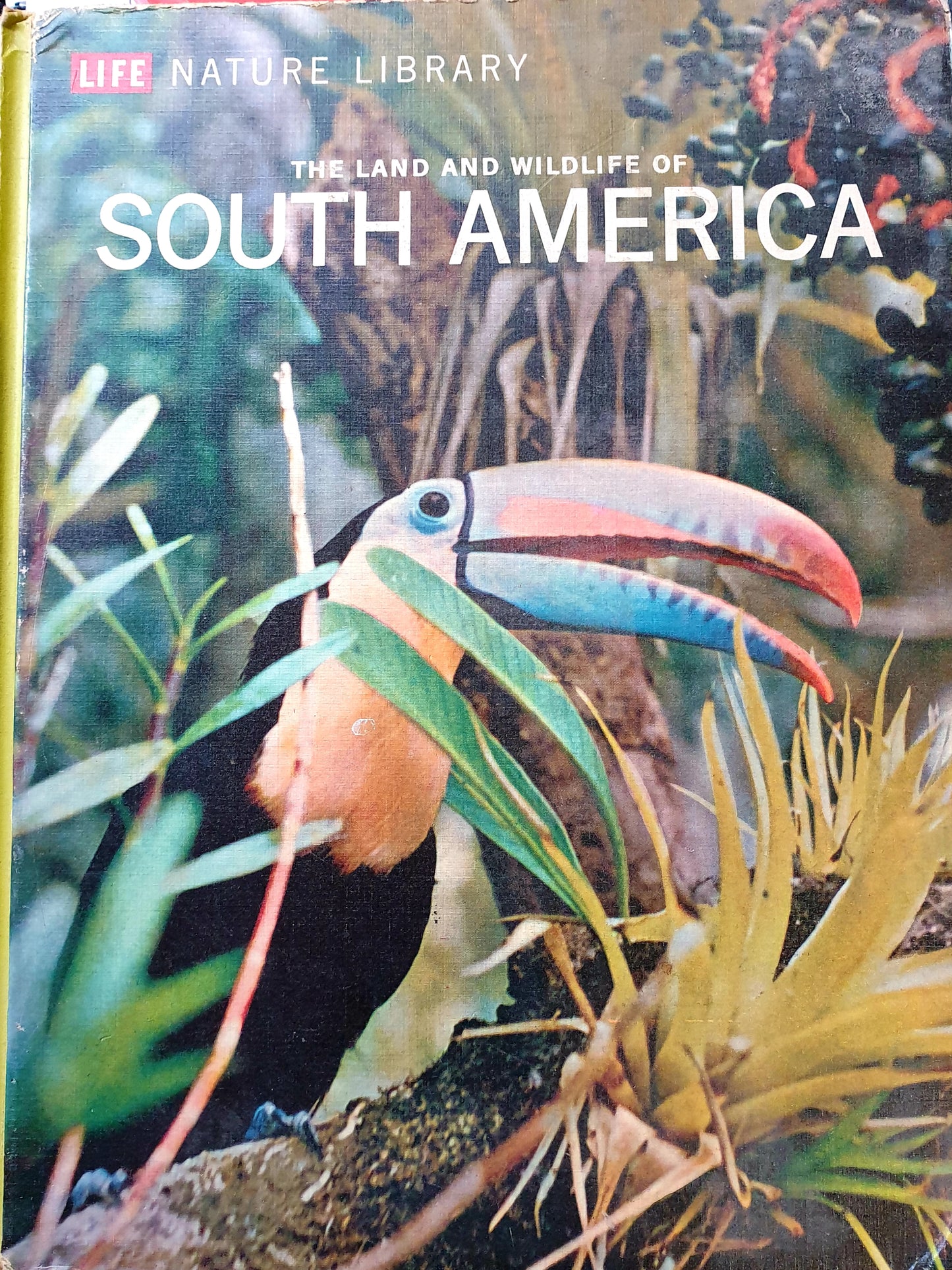 The Land And Wildlife of South America - 1964 - Life Nature Library