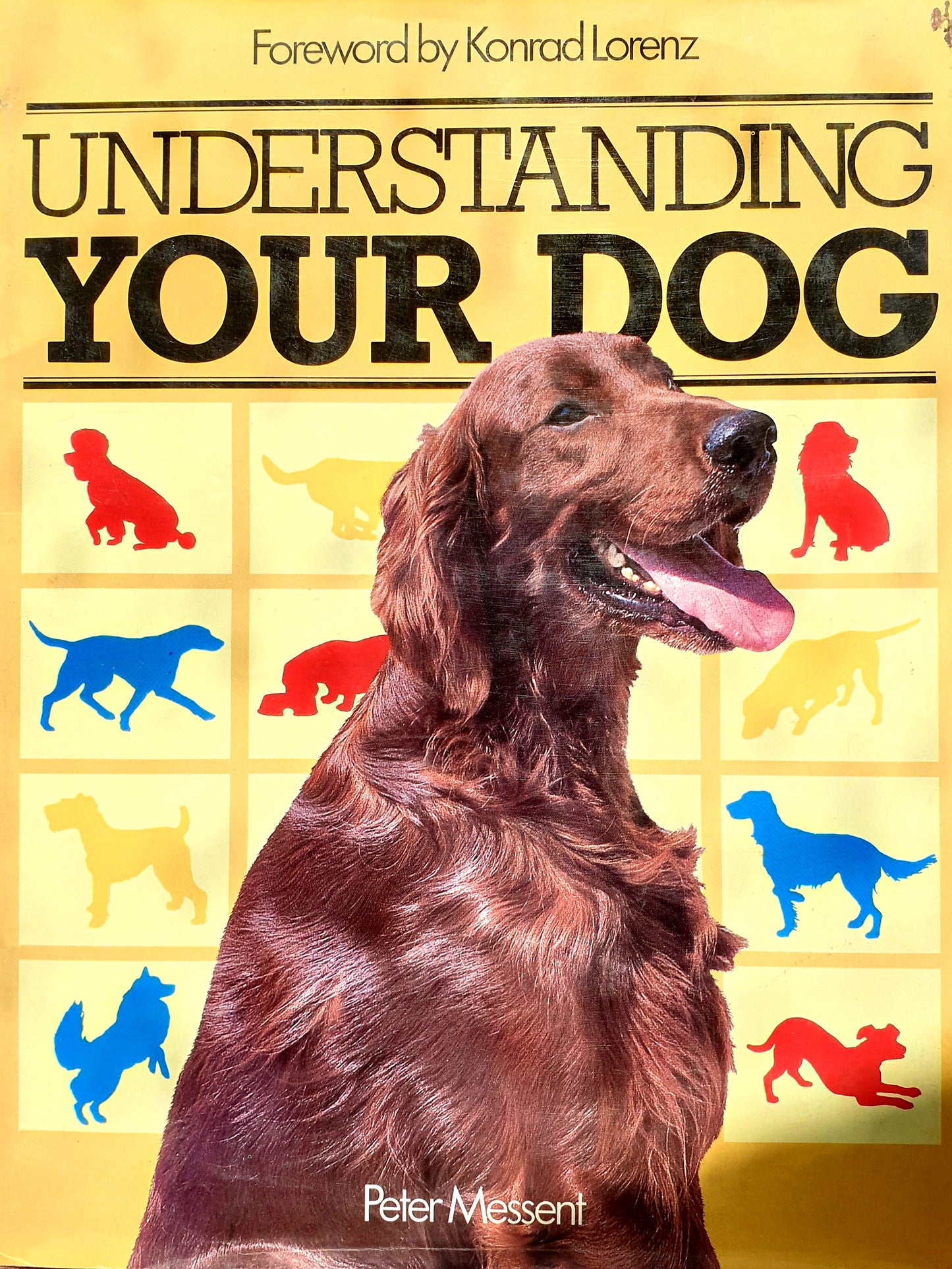 Understanding your Dog - Peter Messent