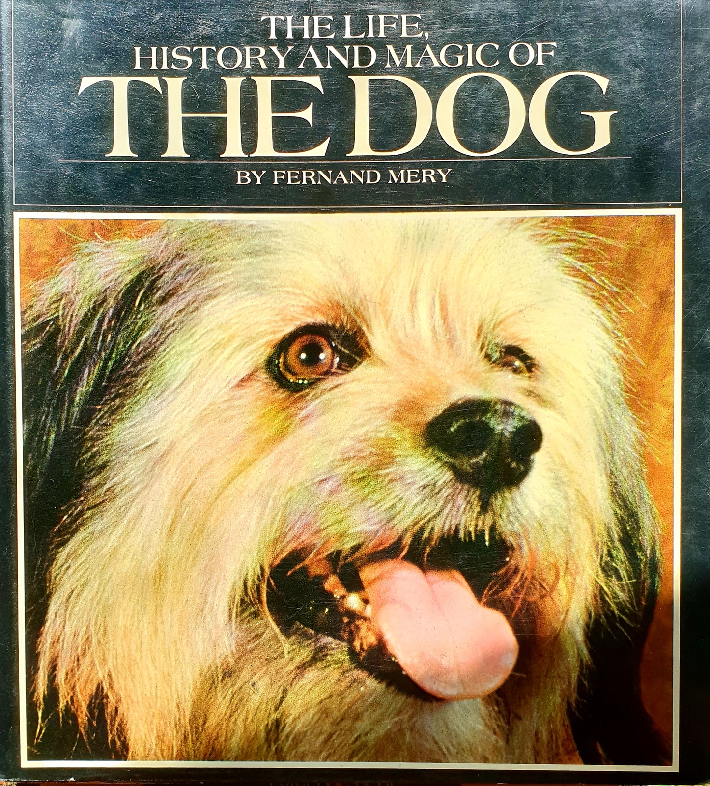 The Life, History and Magic of The Dog - Fernand Mery