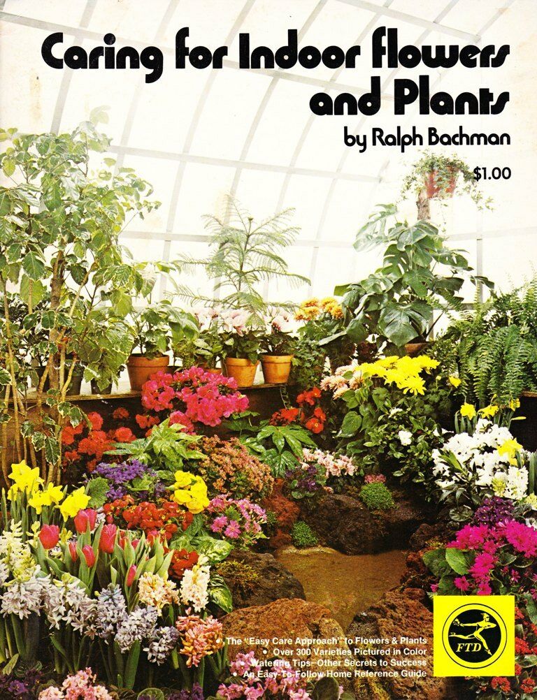 Caring for Indoor Flowers and Plants - Ralph Bachman