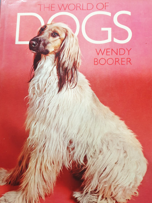 The World of Dogs - hardback - Wendy Boorer